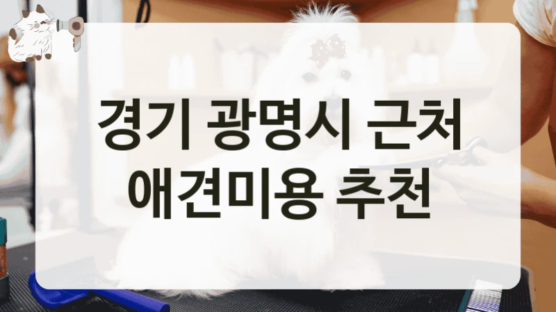 경기 광명시 근처 애견미용 추천