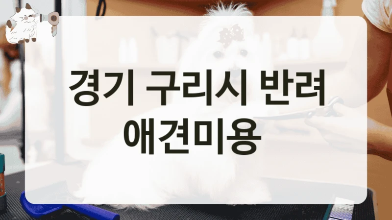 경기 구리시 반려 애견미용