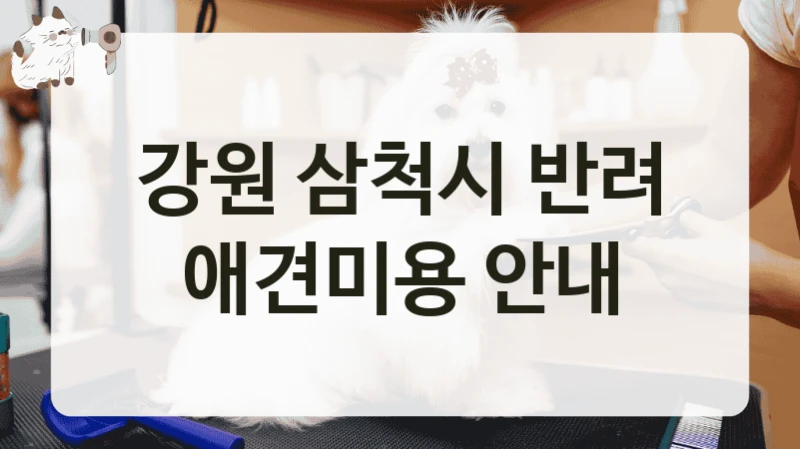 강원 삼척시 반려 애견미용 안내