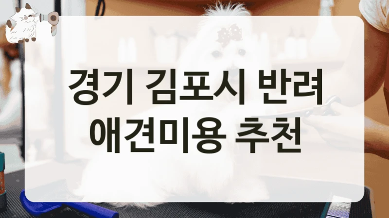 경기 김포시 반려 애견미용 추천