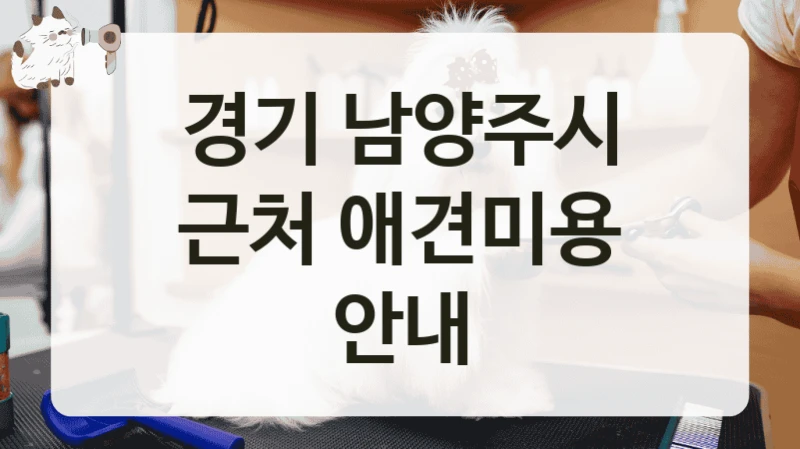 경기 남양주시 근처 애견미용 안내