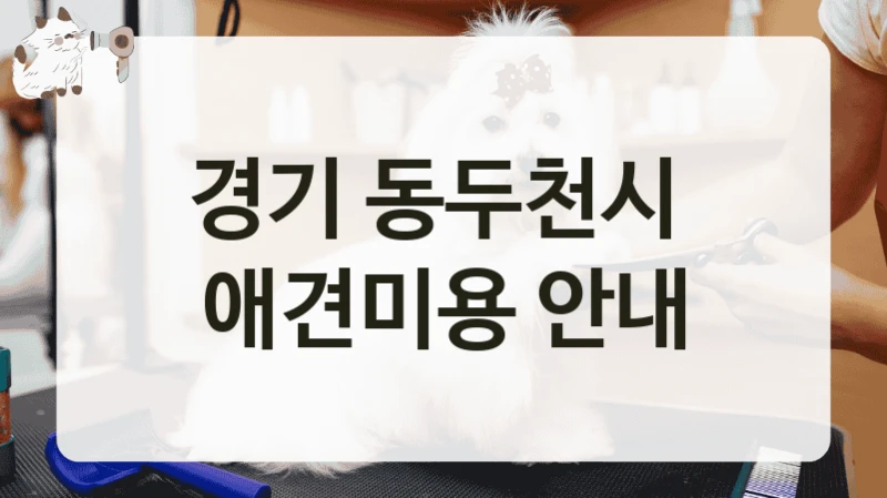 경기 동두천시  애견미용 안내