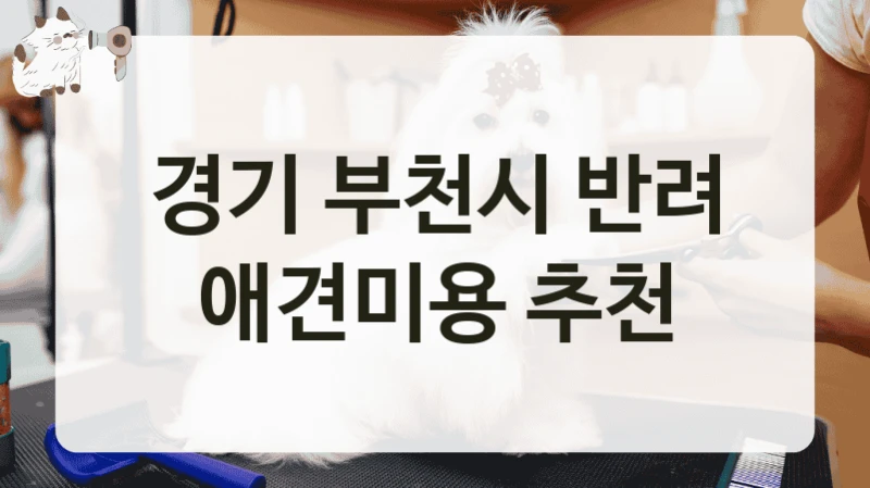경기 부천시 반려 애견미용 추천
