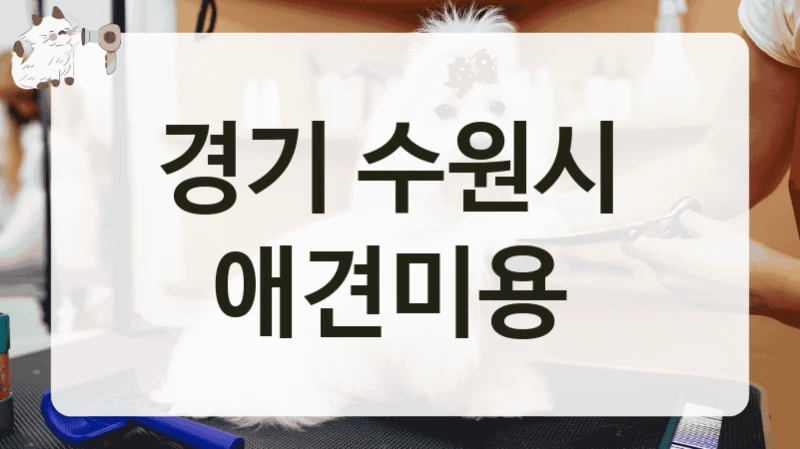 경기 수원시  애견미용