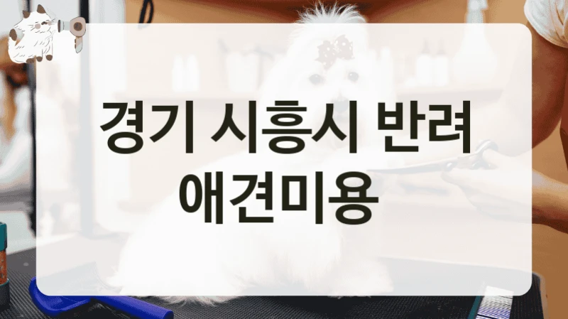 경기 시흥시 반려 애견미용