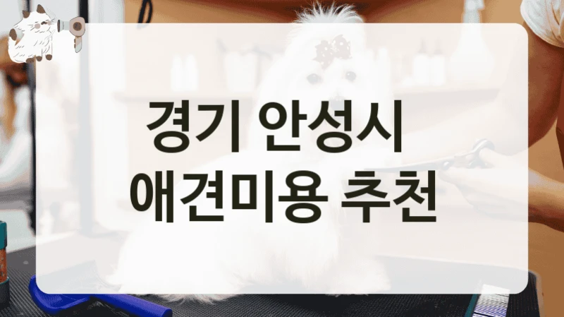 경기 안성시  애견미용 추천