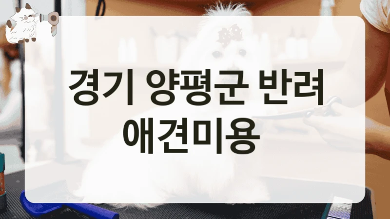 경기 양평군 반려 애견미용