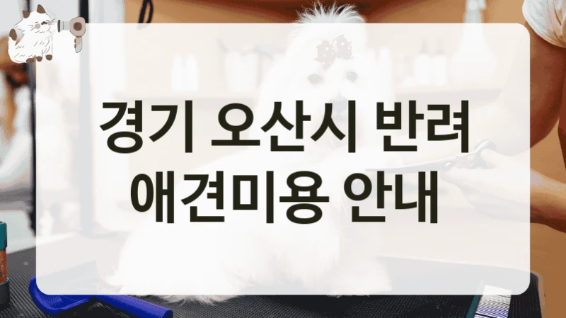 경기 오산시 반려 애견미용 안내