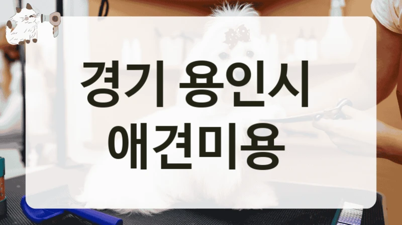 경기 용인시  애견미용