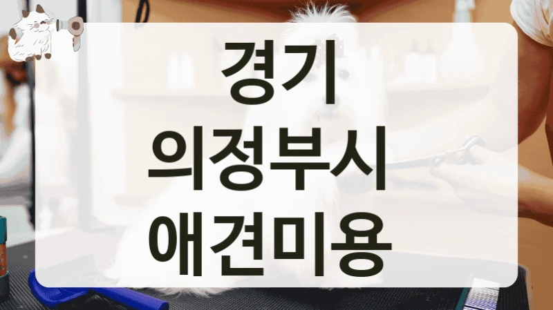 경기 의정부시  애견미용