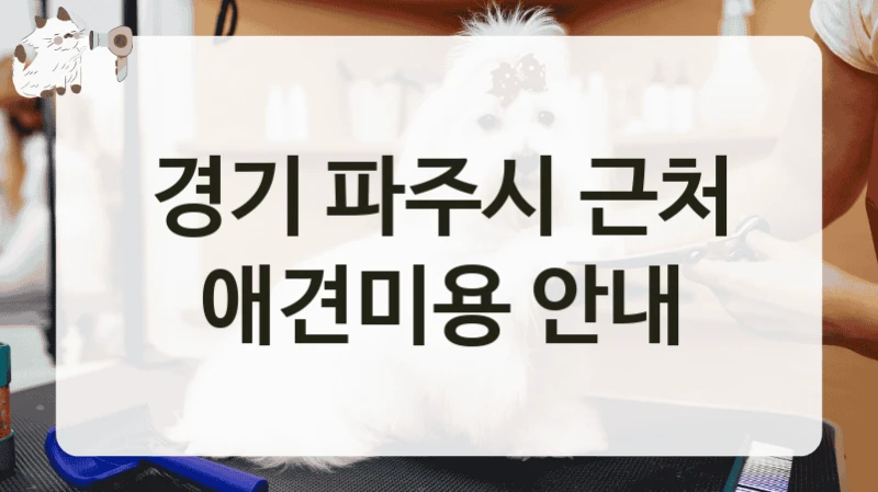 경기 파주시 근처 애견미용 안내