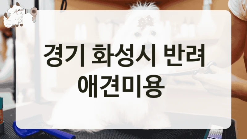 경기 화성시 반려 애견미용