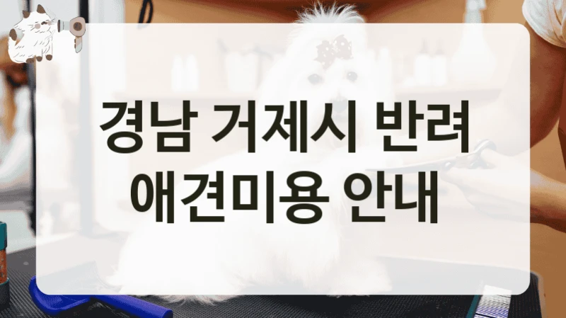 경남 거제시 반려 애견미용 안내
