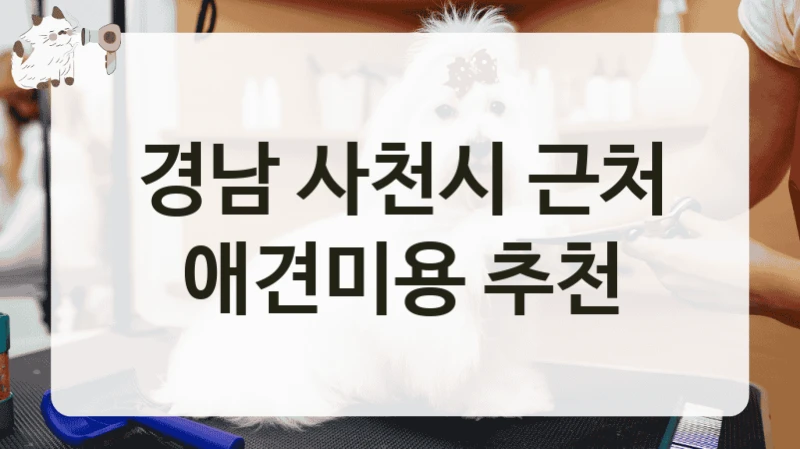 경남 사천시 근처 애견미용 추천