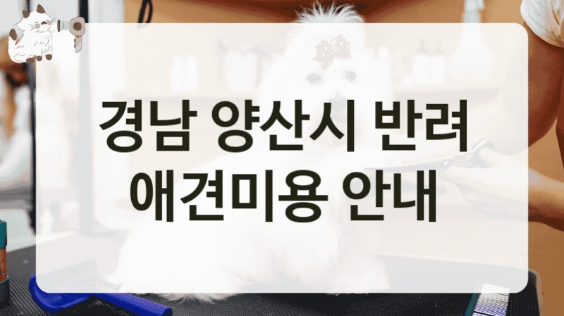 경남 양산시 반려 애견미용 안내