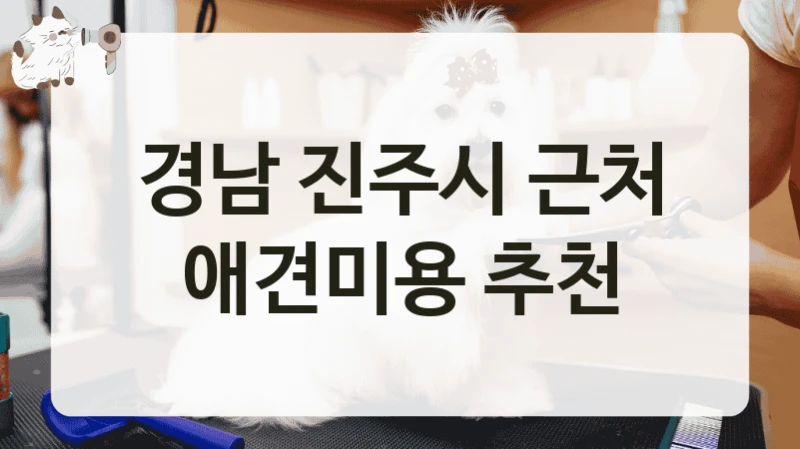 경남 진주시 근처 애견미용 추천