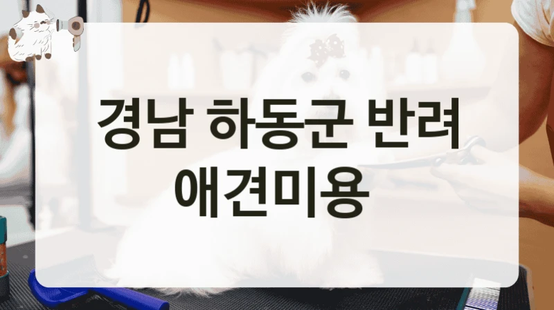 경남 하동군 반려 애견미용