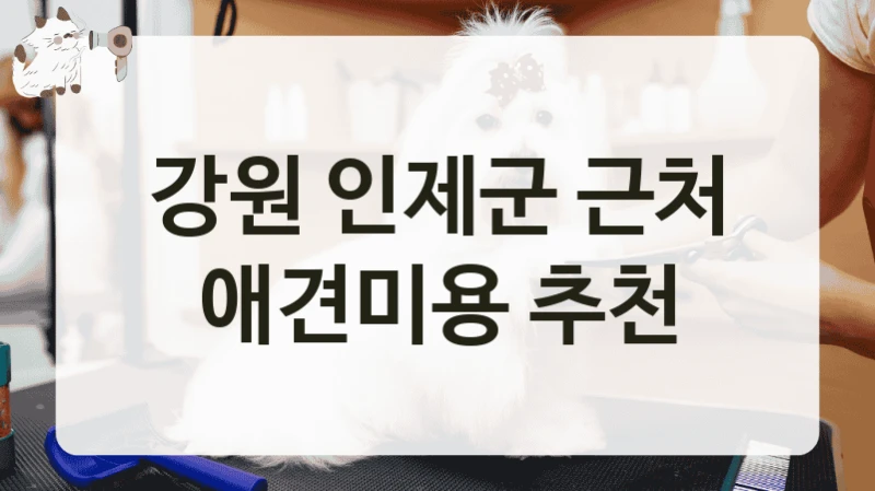 강원 인제군 근처 애견미용 추천