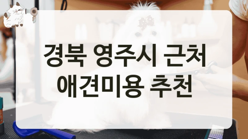 경북 영주시 근처 애견미용 추천