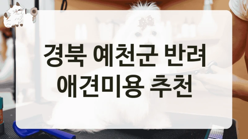 경북 예천군 반려 애견미용 추천