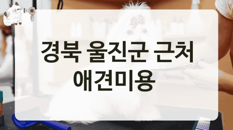경북 울진군 근처 애견미용