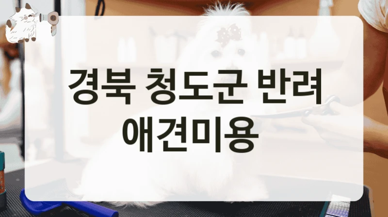 경북 청도군 반려 애견미용