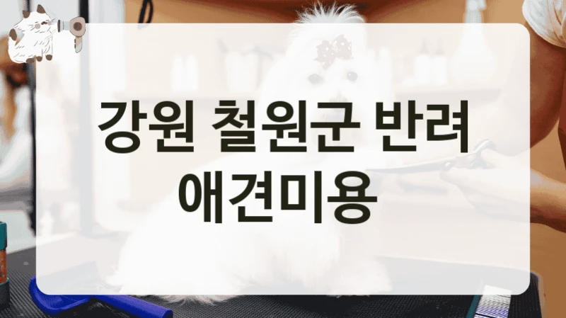 강원 철원군 반려 애견미용