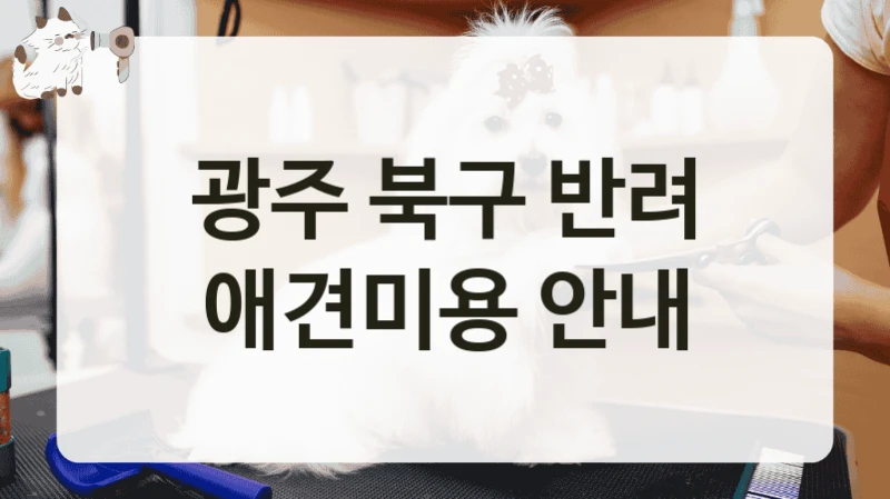 광주 북구 반려 애견미용 안내