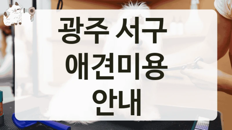 광주 서구  애견미용 안내
