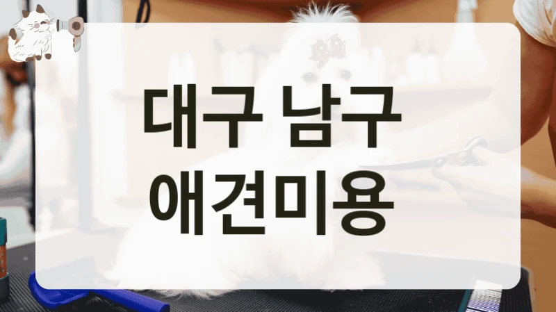 대구 남구  애견미용
