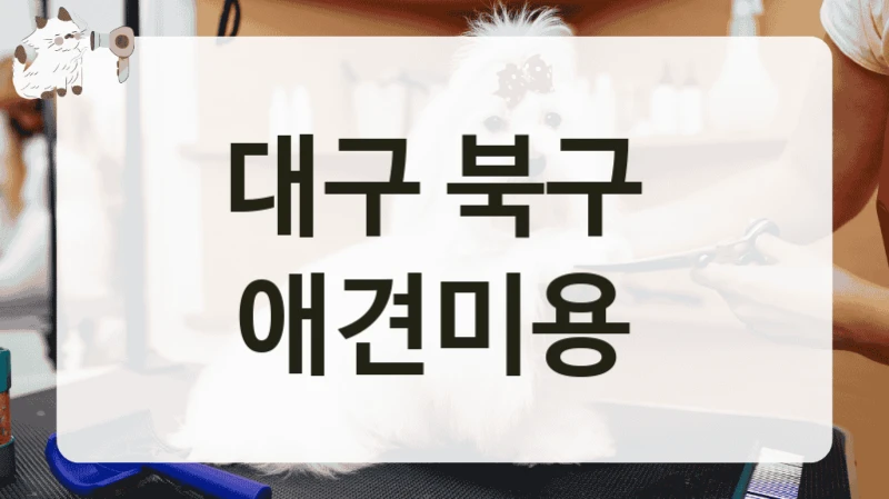 대구 북구  애견미용