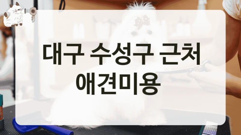 대구 수성구 근처 애견미용