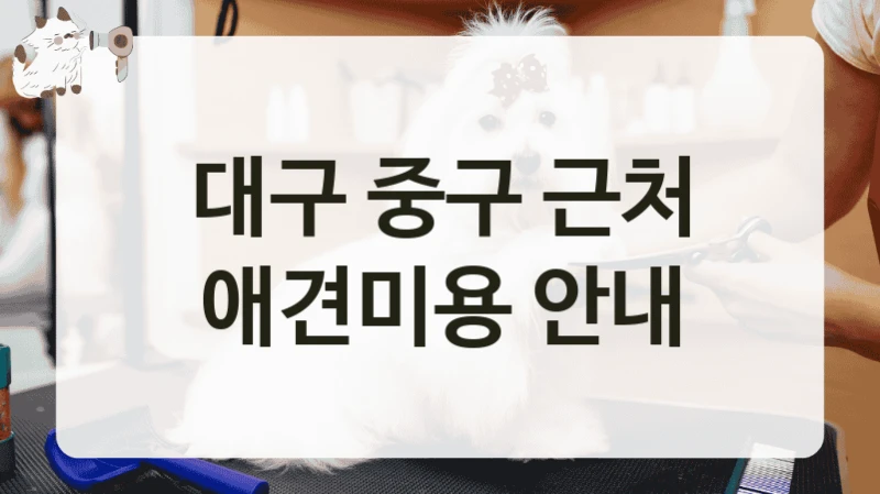 대구 중구 근처 애견미용 안내