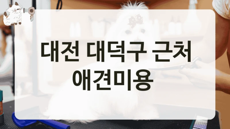 대전 대덕구 근처 애견미용