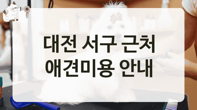 대전 서구 근처 애견미용 안내
