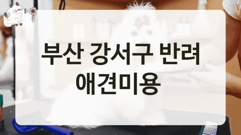 부산 강서구 반려 애견미용