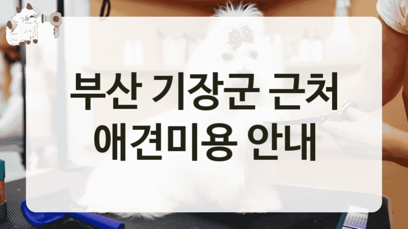 부산 기장군 근처 애견미용 안내