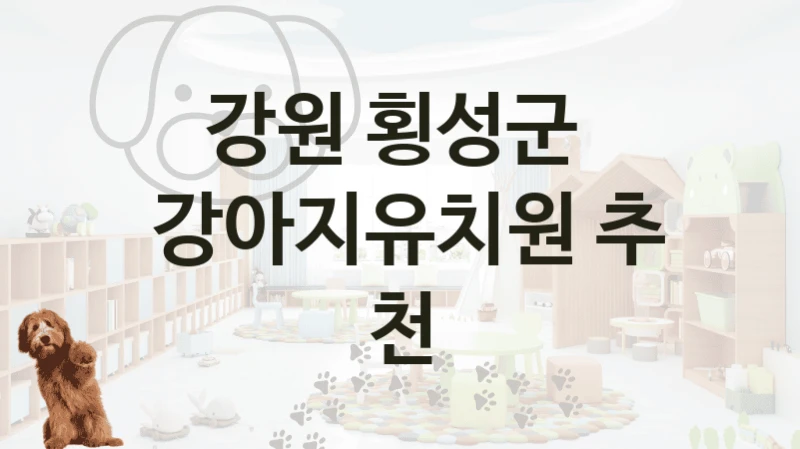 강원 횡성군 
 강아지유치원 추천