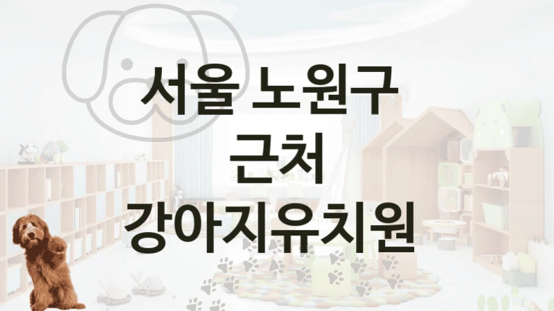 서울 노원구 
근처 강아지유치원