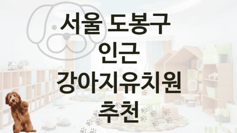 서울 도봉구 
인근 강아지유치원 추천