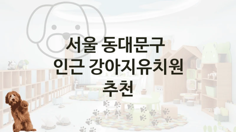 서울 동대문구 
인근 강아지유치원 추천