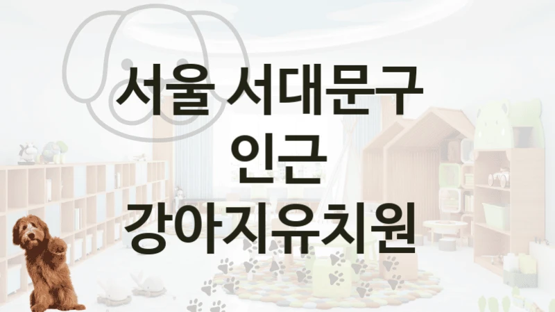 서울 서대문구 
인근 강아지유치원