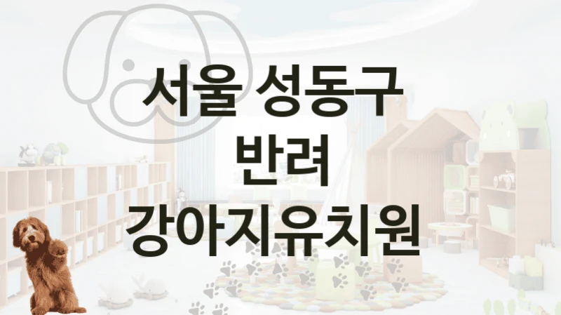 서울 성동구 
반려 강아지유치원