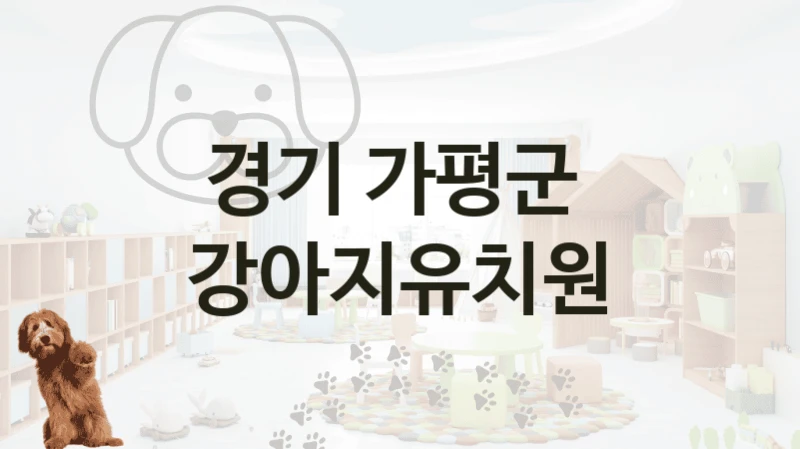 경기 가평군 
 강아지유치원