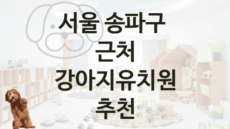 서울 송파구 
근처 강아지유치원 추천