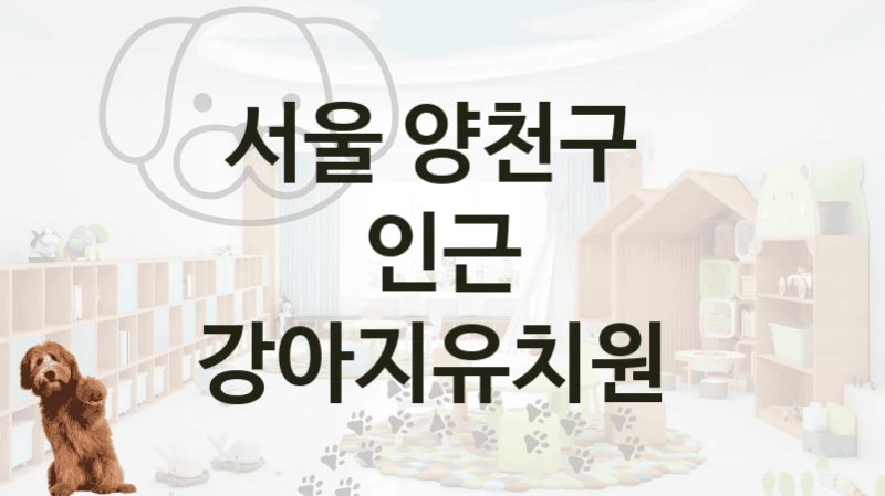 서울 양천구 
인근 강아지유치원