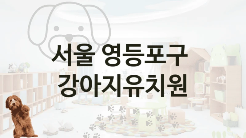 서울 영등포구 
 강아지유치원
