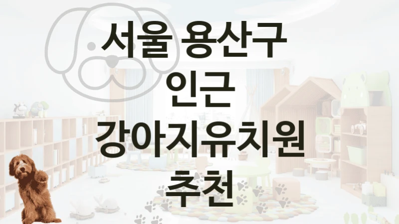 서울 용산구 
인근 강아지유치원 추천