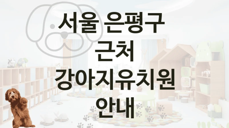 서울 은평구 
근처 강아지유치원 안내