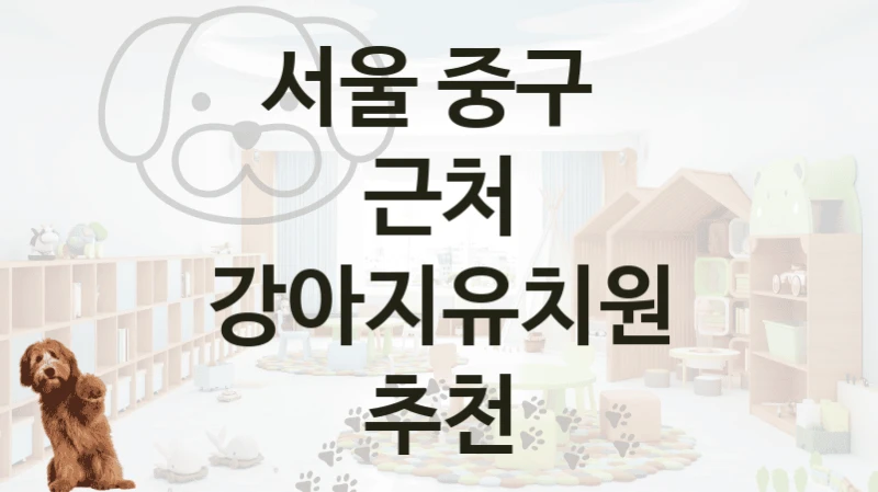 서울 중구 
근처 강아지유치원 추천